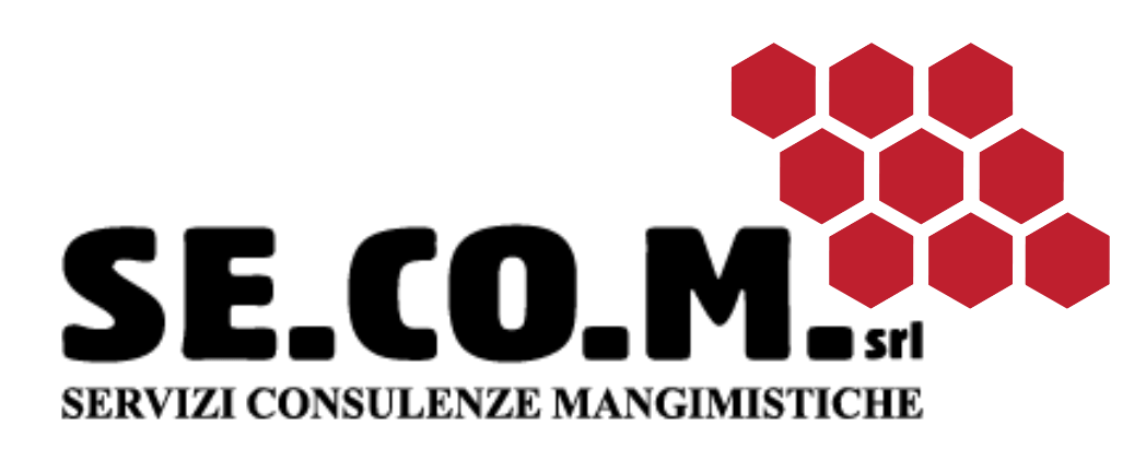 logo-secom-srl-grande-transparent