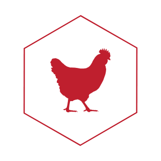 avicoli