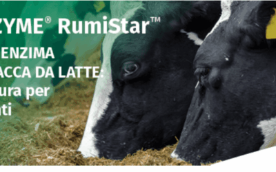 Il primo enzima per la vacca da latte